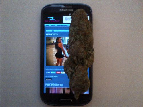 tumblr_mhyz2zxdOP1qhmu4ao1_500