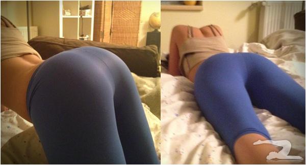 Hump Day Would You Hump It Girls In Yoga Pants